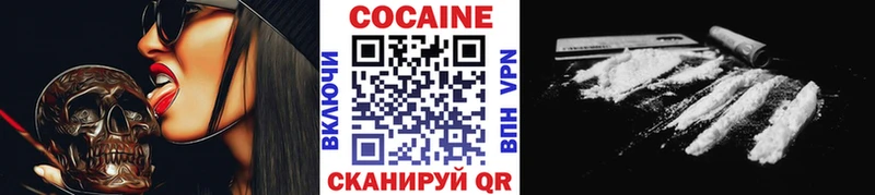 где найти наркотики  omg tor  КОКАИН Эквадор  Щёкино 