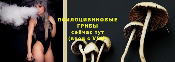 гидра Балабаново