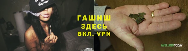 стаф Баксан