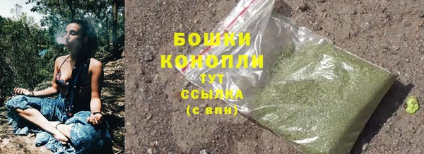 гидра Балабаново