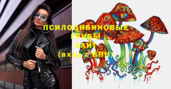стаф Баксан