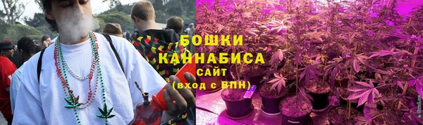 стаф Баксан