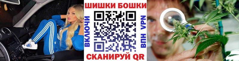 дарнет шоп Щёкино Марихуана индика